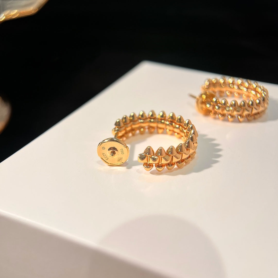 ¡®Aura Jewels¡¯CLASH EARRINGS