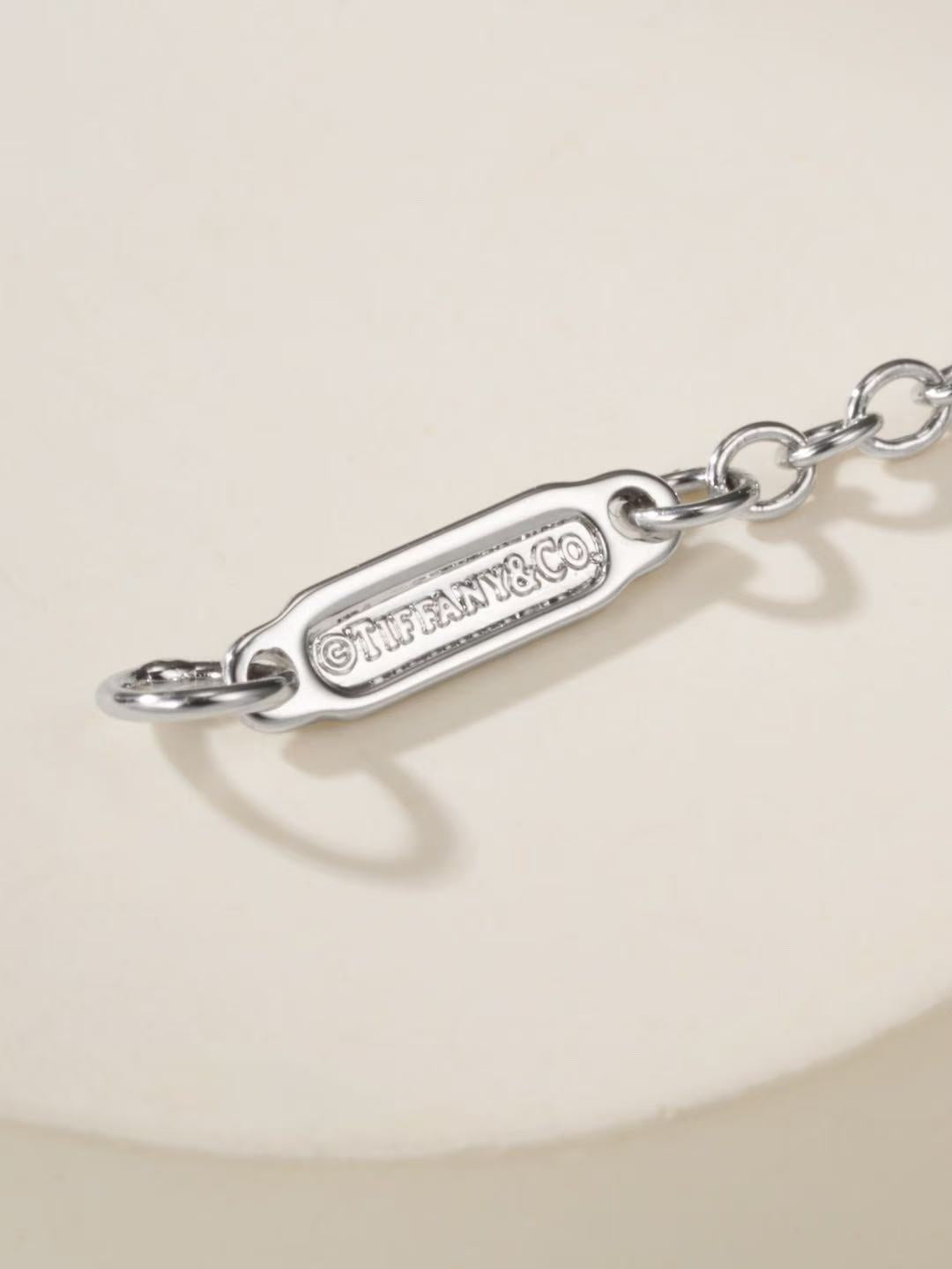 [Aura Jewels]T Family Heart Necklace
